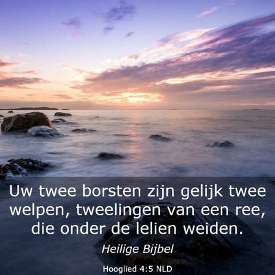 Picture 03 - Hooglied 4:5 NLD - Uw twee borsten zijn gelijk twee welpen, - Bible Verse Picture