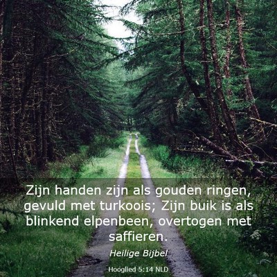 Picture 03 - Hooglied 5:14 NLD - Zijn handen zijn als gouden ringen, gevuld met - Bible Verse Picture