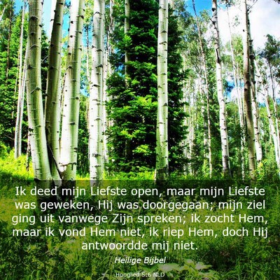 Picture 03 - Hooglied 5:6 NLD - Ik deed mijn Liefste open, maar mijn Liefste was - Bible Verse Picture
