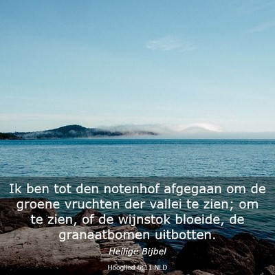 Picture 03 - Hooglied 6:11 NLD - Ik ben tot den notenhof afgegaan om de groene - Bible Verse Picture