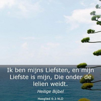 Picture 03 - Hooglied 6:3 NLD - Ik ben mijns Liefsten, en mijn Liefste is mijn, - Bible Verse Picture