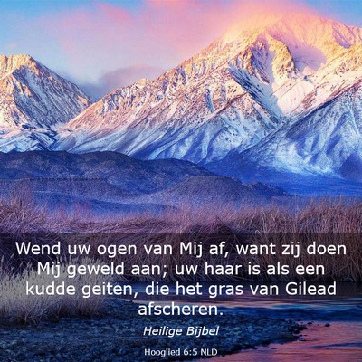 Picture 03 - Hooglied 6:5 NLD - Wend uw ogen van Mij af, want zij doen Mij geweld - Bible Verse Picture
