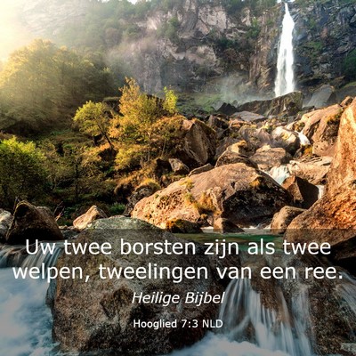 Picture 03 - Hooglied 7:3 NLD - Uw twee borsten zijn als twee welpen, tweelingen - Bible Verse Picture