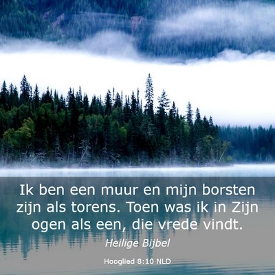 Picture 03 - Hooglied 8:10 NLD - Ik ben een muur en mijn borsten zijn als torens. - Bible Verse Picture