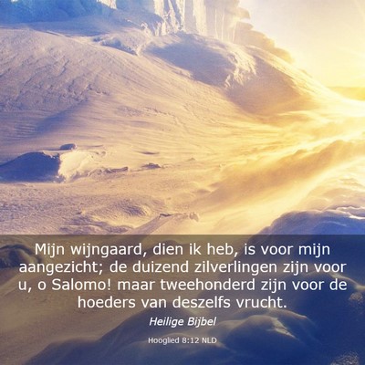 Picture 03 - Hooglied 8:12 NLD - Mijn wijngaard, dien ik heb, is voor mijn - Bible Verse Picture