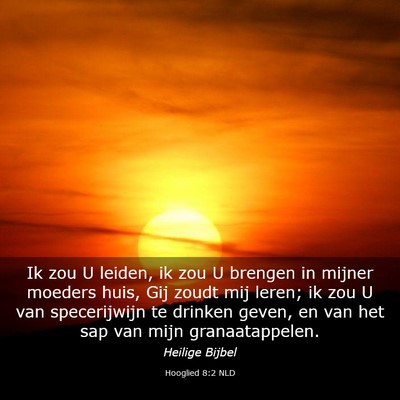 Picture 03 - Hooglied 8:2 NLD - Ik zou U leiden, ik zou U brengen in mijner - Bible Verse Picture