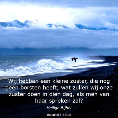 Picture 03 - Hooglied 8:8 NLD - Wij hebben een kleine zuster, die nog geen - Bible Verse Picture