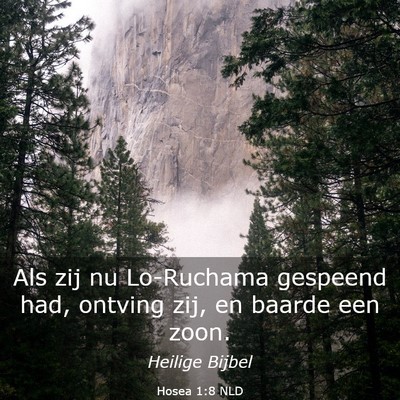 Picture 03 - Hosea 1:8 NLD - Als zij nu Lo-Ruchama gespeend had, ontving zij, - Bible Verse Picture