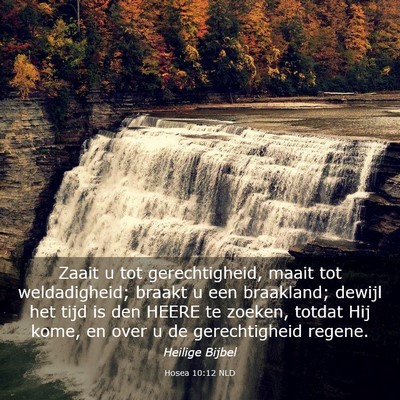 Picture 03 - Hosea 10:12 NLD - Zaait u tot gerechtigheid, maait tot - Bible Verse Picture
