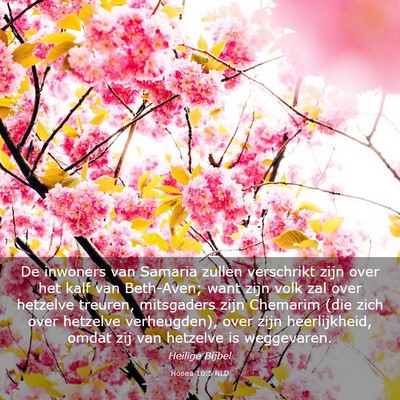 Picture 03 - Hosea 10:5 NLD - De inwoners van Samaria zullen verschrikt zijn - Bible Verse Picture