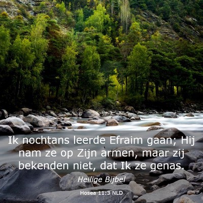 Picture 03 - Hosea 11:3 NLD - Ik nochtans leerde Efraim gaan; Hij nam ze op - Bible Verse Picture