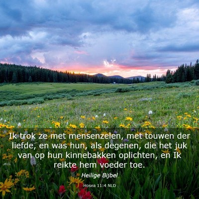 Picture 03 - Hosea 11:4 NLD - Ik trok ze met mensenzelen, met touwen der - Bible Verse Picture