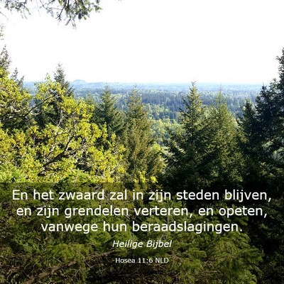 Picture 03 - Hosea 11:6 NLD - En het zwaard zal in zijn steden blijven, en zijn - Bible Verse Picture