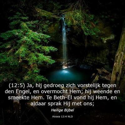 Picture 03 - Hosea 12:4 NLD - (12:5) Ja, hij gedroeg zich vorstelijk tegen den - Bible Verse Picture