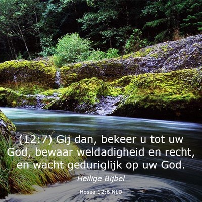 Picture 03 - Hosea 12:6 NLD - (12:7) Gij dan, bekeer u tot uw God, bewaar - Bible Verse Picture