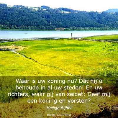 Picture 03 - Hosea 13:10 NLD - Waar is uw koning nu? Dat hij u behoude in al uw - Bible Verse Picture