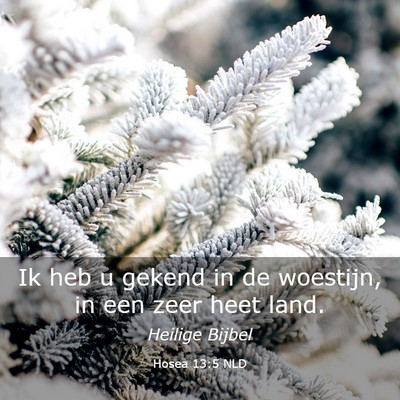 Picture 03 - Hosea 13:5 NLD - Ik heb u gekend in de woestijn, in een zeer heet - Bible Verse Picture