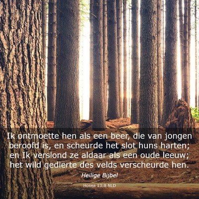 Picture 03 - Hosea 13:8 NLD - Ik ontmoette hen als een beer, die van jongen - Bible Verse Picture
