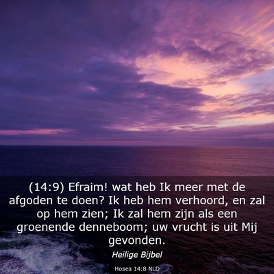 Picture 03 - Hosea 14:8 NLD - (14:9) Efraim! wat heb Ik meer met de afgoden te - Bible Verse Picture