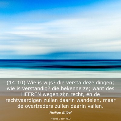 Picture 03 - Hosea 14:9 NLD - (14:10) Wie is wijs? die versta deze dingen; wie - Bible Verse Picture