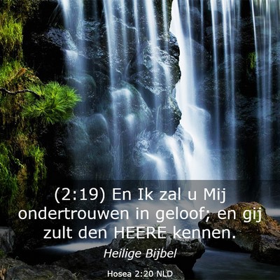 Picture 03 - Hosea 2:20 NLD - (2:19) En Ik zal u Mij ondertrouwen in geloof; en - Bible Verse Picture