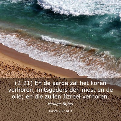 Picture 03 - Hosea 2:22 NLD - (2:21) En de aarde zal het koren verhoren, - Bible Verse Picture