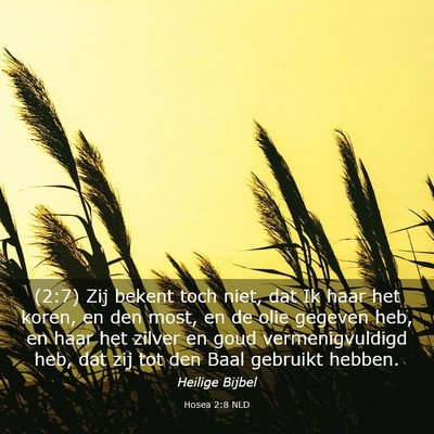 Picture 03 - Hosea 2:8 NLD - (2:7) Zij bekent toch niet, dat Ik haar het - Bible Verse Picture