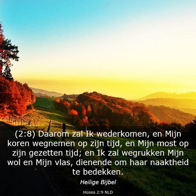 Picture 03 - Hosea 2:9 NLD - (2:8) Daarom zal Ik wederkomen, en Mijn koren - Bible Verse Picture