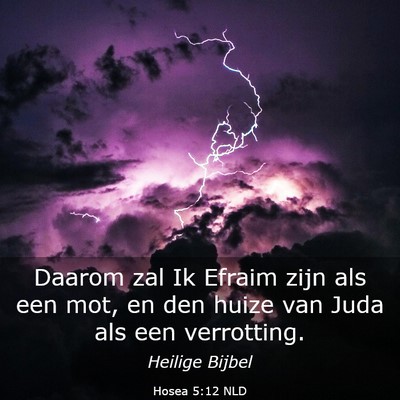 Picture 03 - Hosea 5:12 NLD - Daarom zal Ik Efraim zijn als een mot, en den - Bible Verse Picture