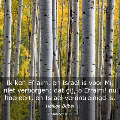 Picture 03 - Hosea 5:3 NLD - Ik ken Efraim, en Israel is voor Mij niet - Bible Verse Picture
