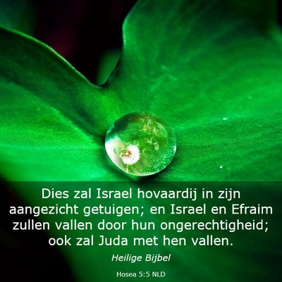 Picture 03 - Hosea 5:5 NLD - Dies zal Israel hovaardij in zijn aangezicht - Bible Verse Picture