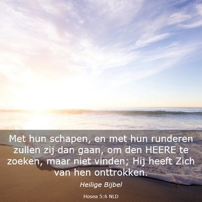 Picture 03 - Hosea 5:6 NLD - Met hun schapen, en met hun runderen zullen zij - Bible Verse Picture