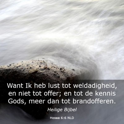 Picture 03 - Hosea 6:6 NLD - Want Ik heb lust tot weldadigheid, en niet tot - Bible Verse Picture