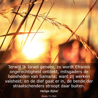 Picture 03 - Hosea 7:1 NLD - Terwijl Ik Israel genees, zo wordt Efraims - Bible Verse Picture