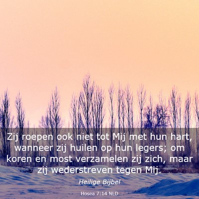 Picture 03 - Hosea 7:14 NLD - Zij roepen ook niet tot Mij met hun hart, wanneer - Bible Verse Picture