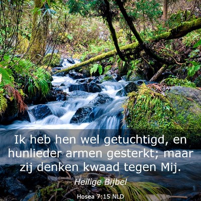 Picture 03 - Hosea 7:15 NLD - Ik heb hen wel getuchtigd, en hunlieder armen - Bible Verse Picture