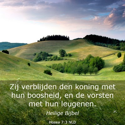 Picture 03 - Hosea 7:3 NLD - Zij verblijden den koning met hun boosheid, en de - Bible Verse Picture