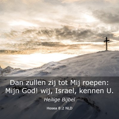 Picture 03 - Hosea 8:2 NLD - Dan zullen zij tot Mij roepen: Mijn God! wij, - Bible Verse Picture