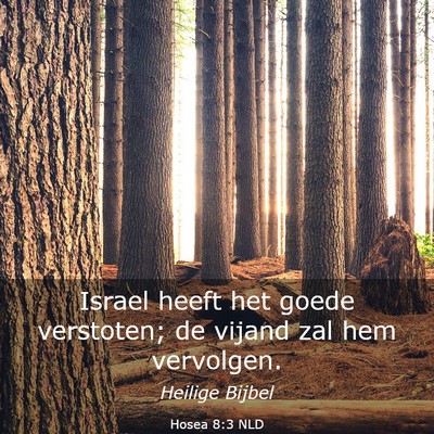 Picture 03 - Hosea 8:3 NLD - Israel heeft het goede verstoten; de vijand zal - Bible Verse Picture