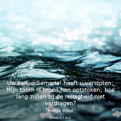 Picture 03 - Hosea 8:5 NLD - Uw kalf, o Samaria! heeft u verstoten; Mijn toorn - Bible Verse Picture