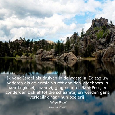 Picture 03 - Hosea 9:10 NLD - Ik vond Israel als druiven in de woestijn, Ik zag - Bible Verse Picture