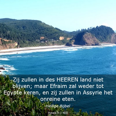 Picture 03 - Hosea 9:3 NLD - Zij zullen in des HEEREN land niet blijven; maar - Bible Verse Picture