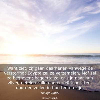 Picture 03 - Hosea 9:6 NLD - Want ziet, zij gaan daarhenen vanwege de - Bible Verse Picture