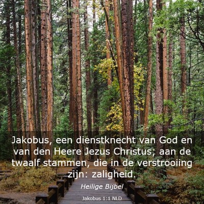 Picture 03 - Jakobus 1:1 NLD - Jakobus, een dienstknecht van God en van den - Bible Verse Picture