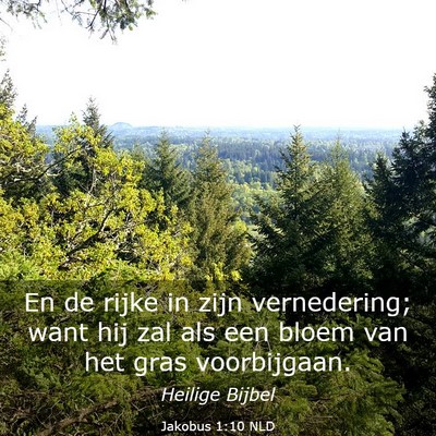 Picture 03 - Jakobus 1:10 NLD - En de rijke in zijn vernedering; want hij zal als - Bible Verse Picture