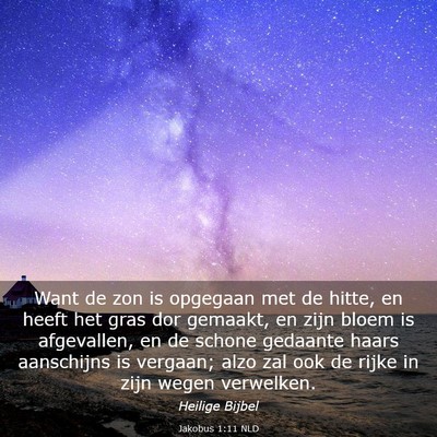 Picture 03 - Jakobus 1:11 NLD - Want de zon is opgegaan met de hitte, en heeft - Bible Verse Picture