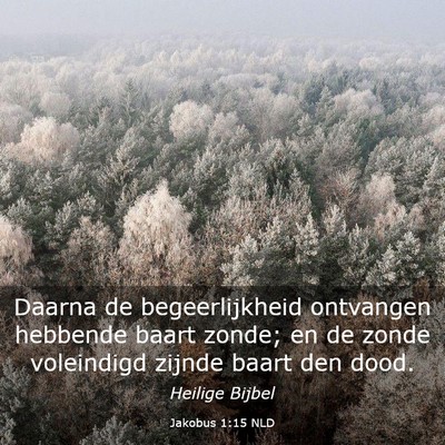 Picture 03 - Jakobus 1:15 NLD - Daarna de begeerlijkheid ontvangen hebbende baart - Bible Verse Picture
