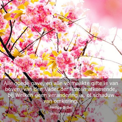 Picture 03 - Jakobus 1:17 NLD - Alle goede gave, en alle volmaakte gifte is van - Bible Verse Picture