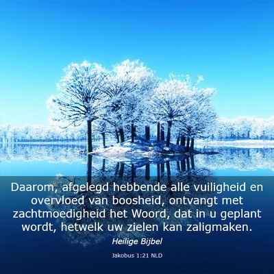 Picture 03 - Jakobus 1:21 NLD - Daarom, afgelegd hebbende alle vuiligheid en - Bible Verse Picture