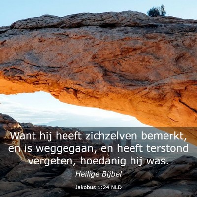 Picture 03 - Jakobus 1:24 NLD - Want hij heeft zichzelven bemerkt, en is - Bible Verse Picture